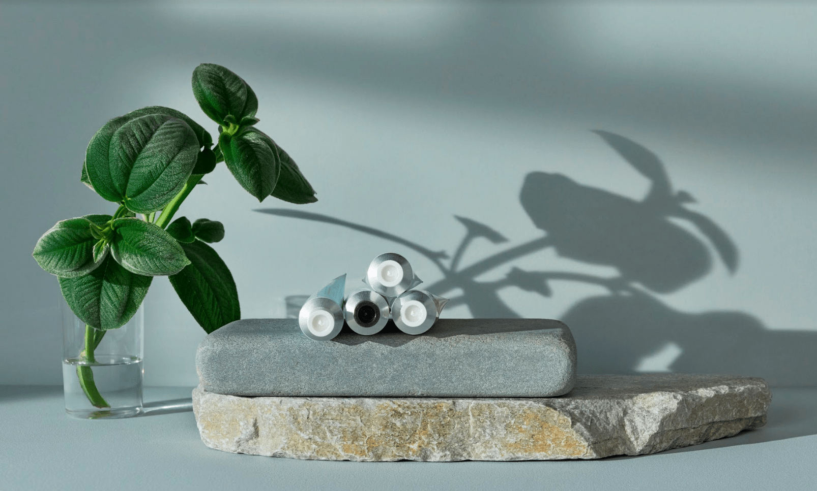 what is sustainability, and how can you practice it right now?