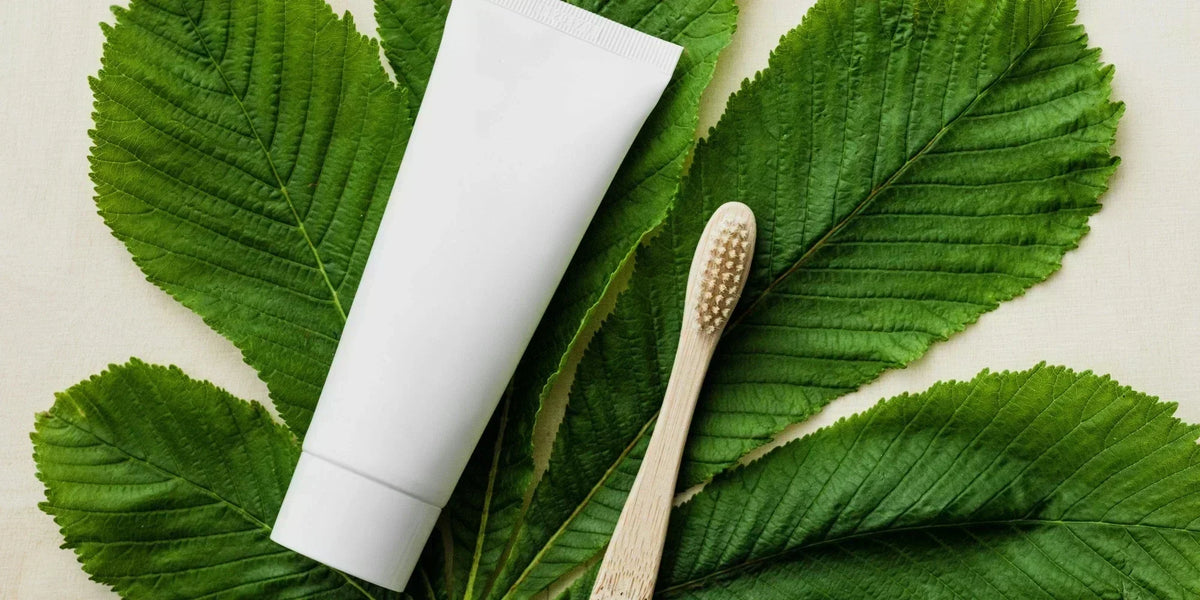 a toothpaste and a bamboo toothbrush on a green leaf