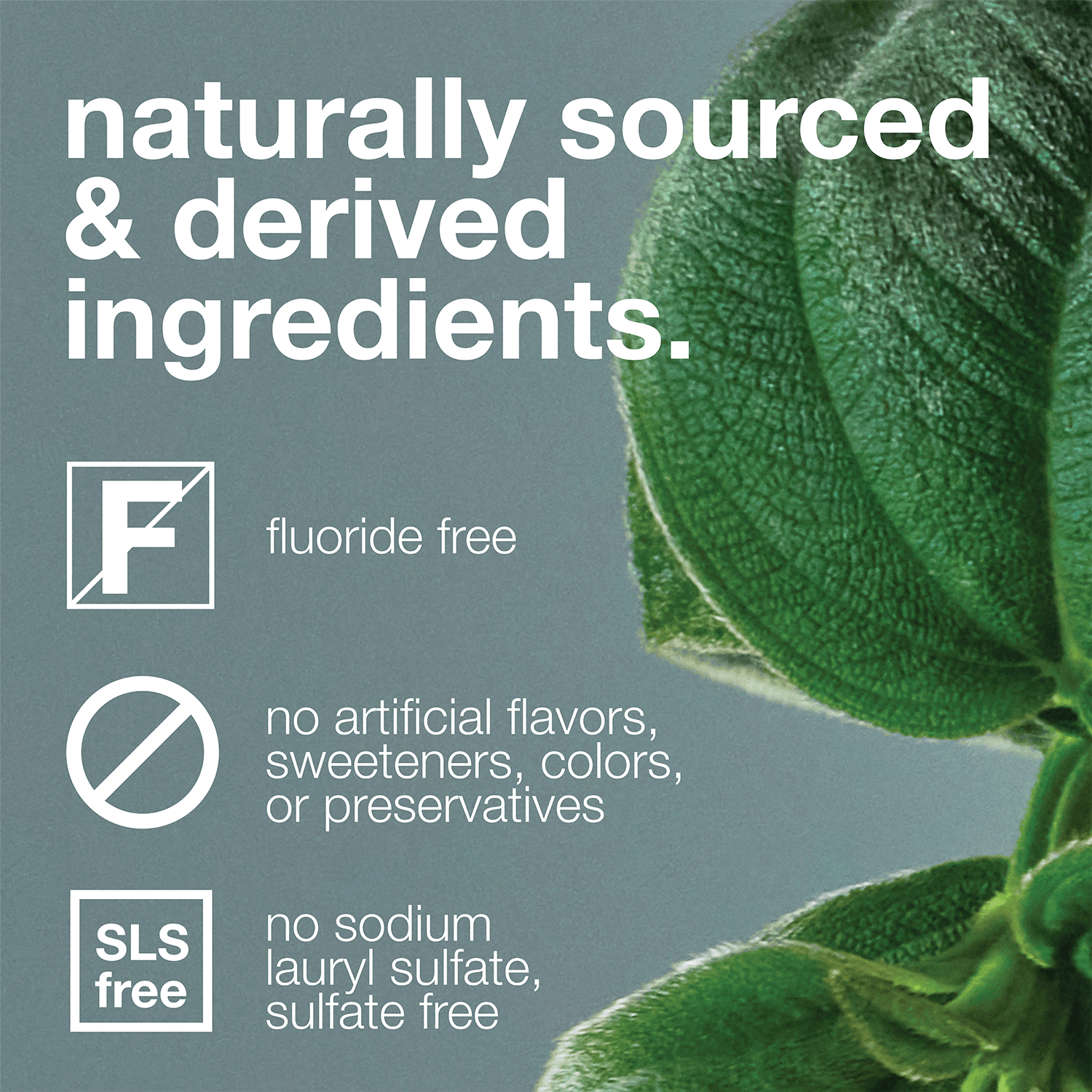Davids premium toothpaste  /  spearmint