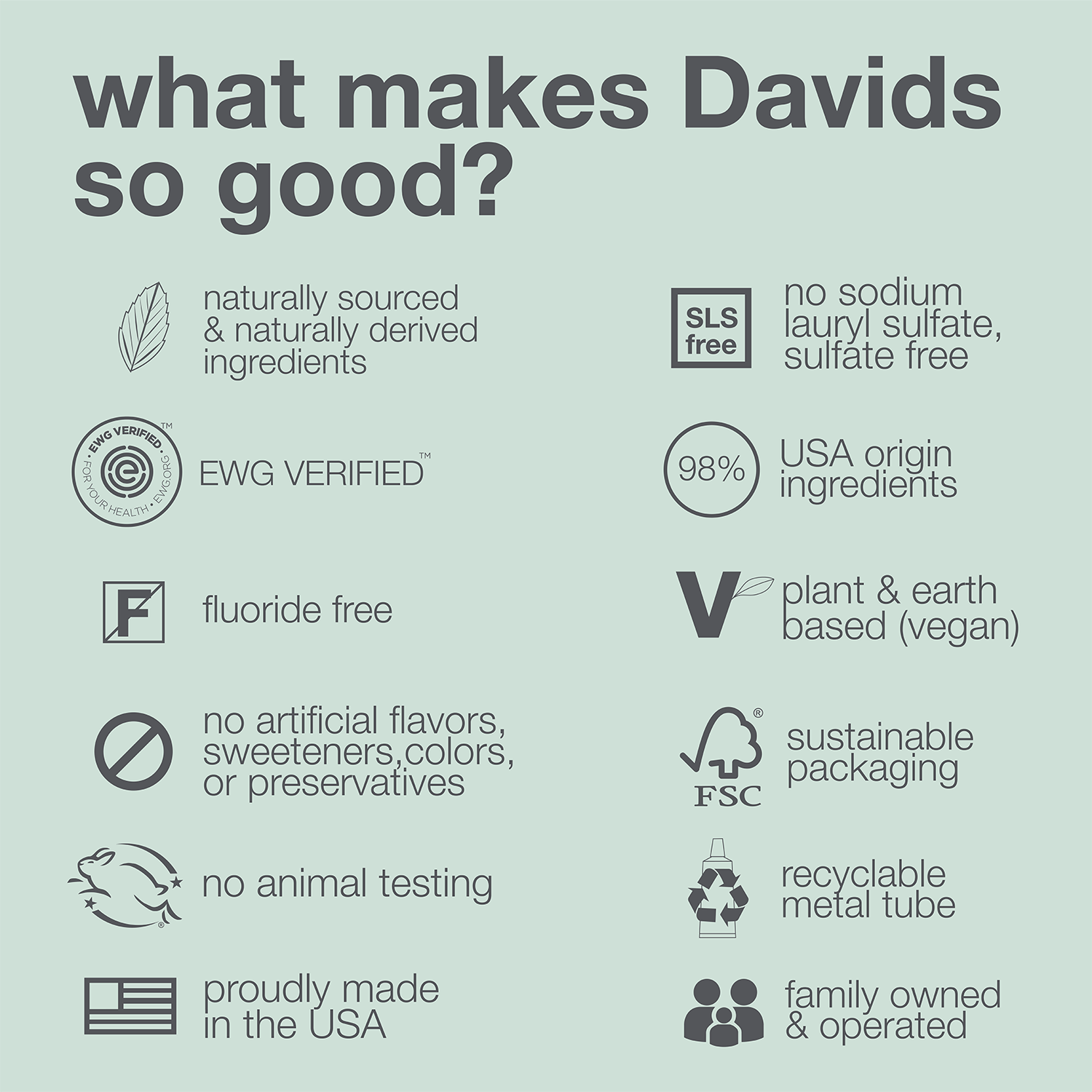 Davids premium toothpaste  /  spearmint