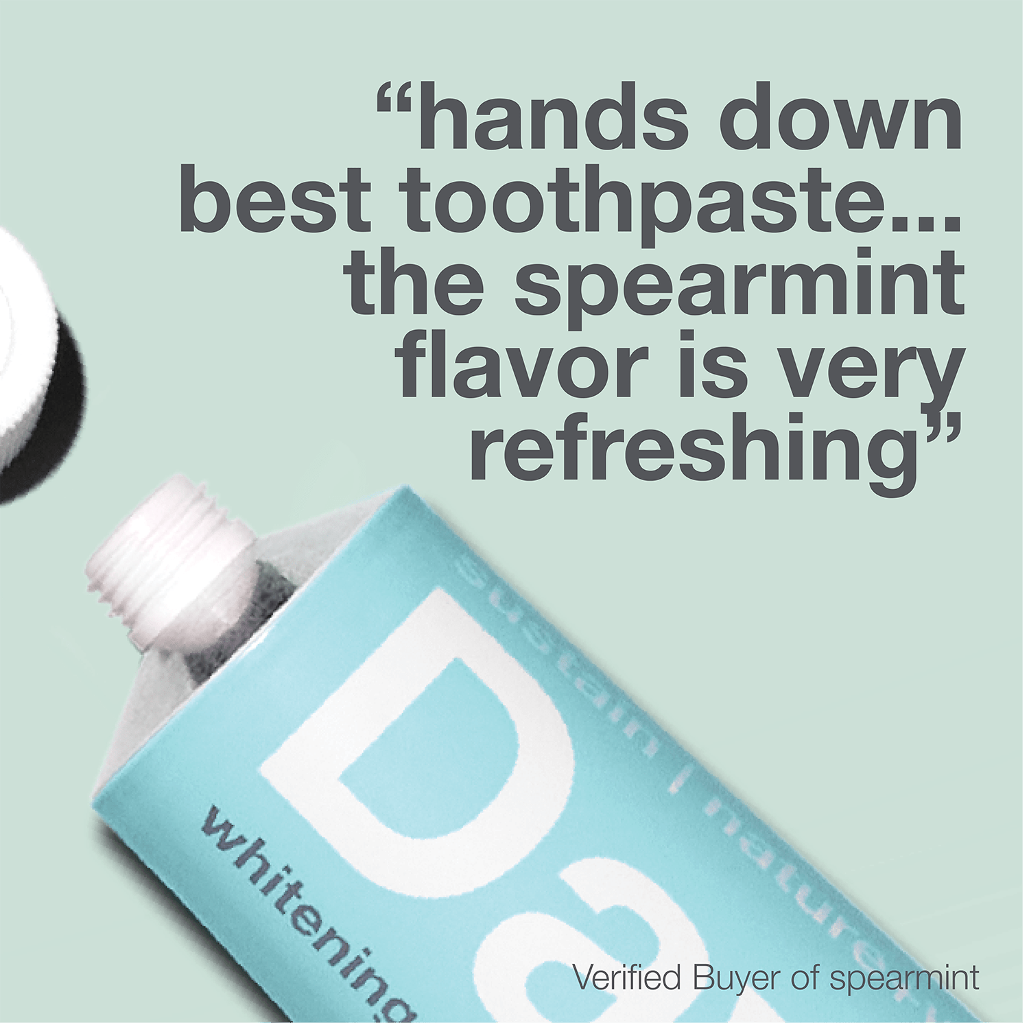 Davids premium toothpaste  /  spearmint