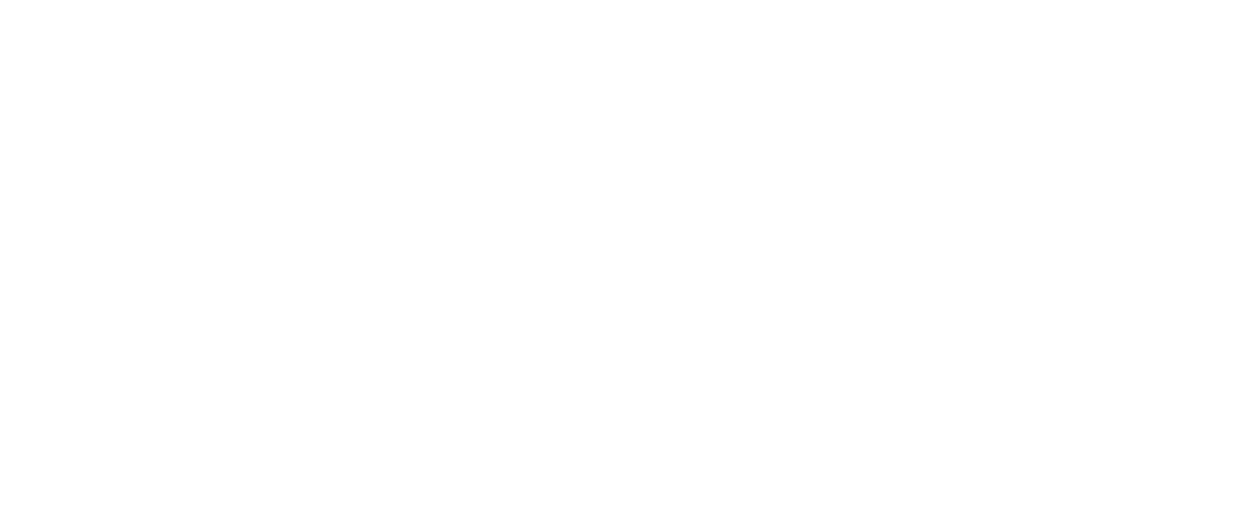 White "Davids" logo in bold sans-serif font on a transparent background