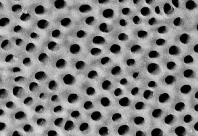 tubules