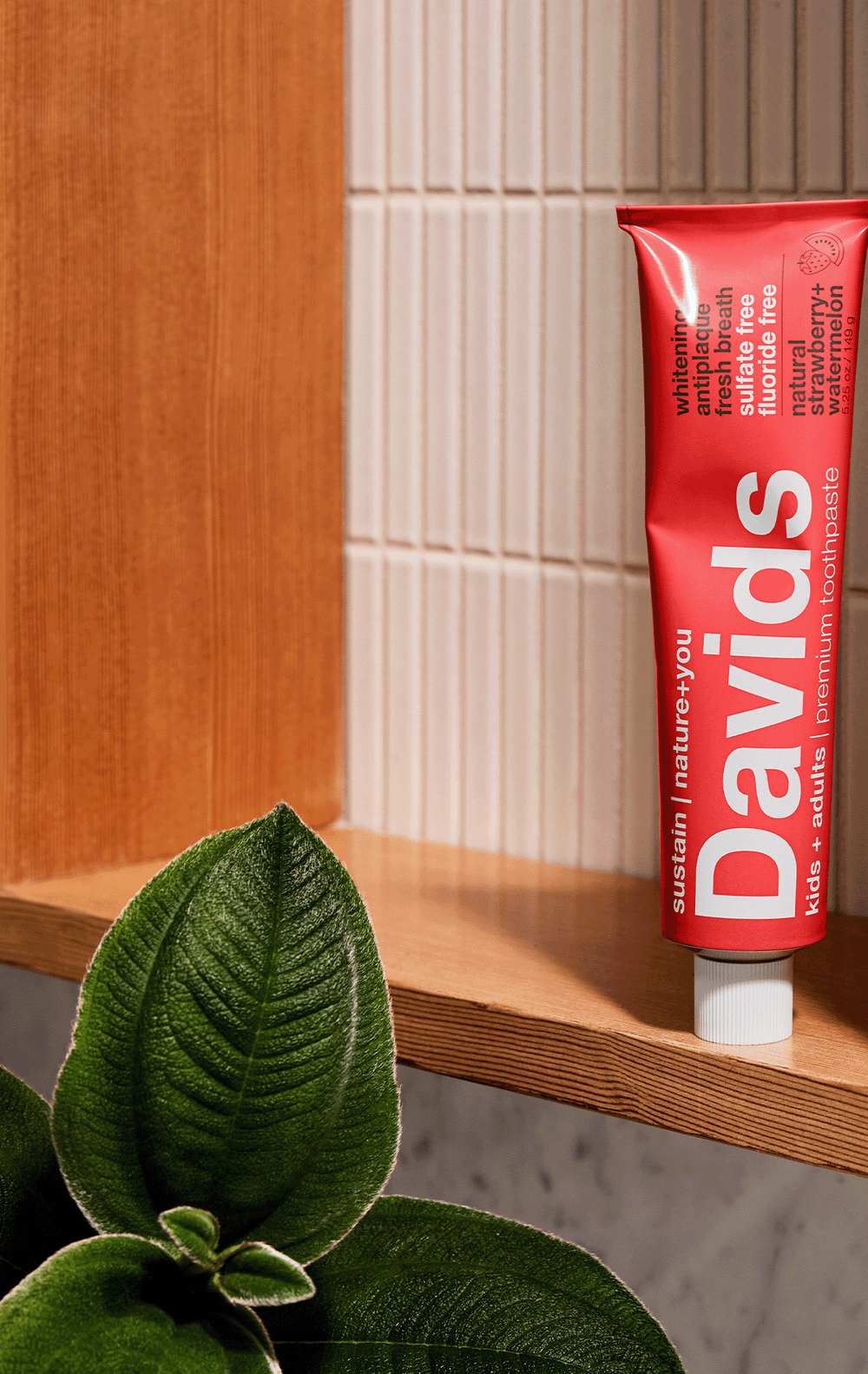 Davids | Best Natural Toothpaste